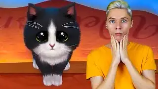 【 Kitten Match 】My Parody #6 - PURRFECT Time with Cute Kitties!