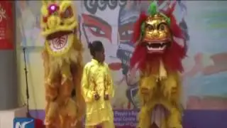 Enjoy festive spirit! Chinese Spring Festival celebrations around the world
