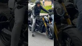 Harley Night Rod Special#harley #nightrod
