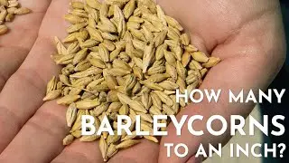 The Weirdest Unit of Measure We Still Use | Barleycorns | Shorts