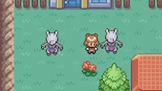 Why do legendary Pokemon act like they're rare