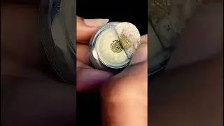Golden dust glitter #viral #trending #ytshorts #shorts