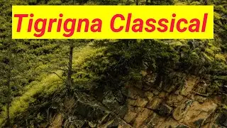 #Tigrigna Classical Music|Timeless Eritrean & Ethiopia Melodies#classicalmusic  (ትግርኛ ክላሲካል ሙዚቃ እኩብ)
