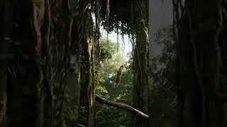Monkeys Vs Wilddog fight video #trendingshorts#animals #wildanimals #music#lion #wildlife #thejungle