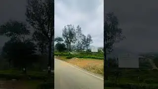 Haputale  🍃 #fypシ゚viral #nature #haputale #srilanka