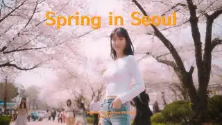 봄 벚꽃 그리고 정독도서관 | SONY ZV-E1| SEOUL CINEMATIC TRAVEL FILM | SAMYANG 35mm 1.8 | Dehancer pro