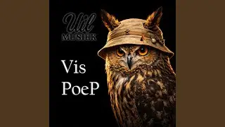 Vis PoeP