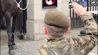 Little Frank Salutes the Canadian Guards — Their Response Is Beautiful 🇨🇦✨