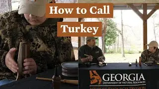 How to Call Turkey