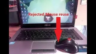 How to repair mouse at home