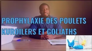 PROPHYLAXIE MÉDICALE DES POULETS KUROILERS ET GOLIATHS