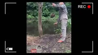 PRIMITIVE FISHING - TRAP FISHING