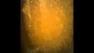 Wyeast 3522 going wild