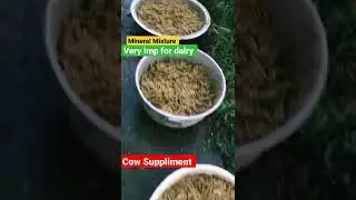 Virbac Chelated mineral mixture