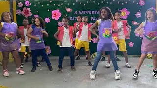 Apresentação de primavera. 3º e 4º ano - 2ºTurno