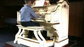 Donkey Serenade