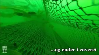 Feltunders&oslash;gelse af &oslash;kosystem-effekter af fiskeri: Snurrevod