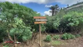 Rambla de Castro, Tenerife, Insulele Canare, Spania