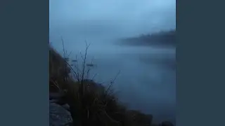 The Quiet Ache