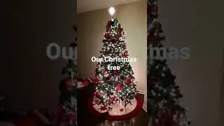 Our family Christmas tree