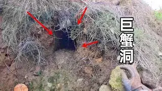 看到巨型蟹王洞口痕迹，渔夫兴奋了起来，连说洞里住了18斤大螃蟹