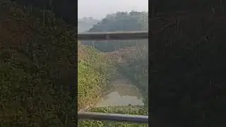 Beautiful hill side journey in the jungle... morning train... pleasant... feeling happyness.. yo yo.