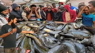 কল্পনার চেয়েও সস্তায়! এত পরিমান বিলের কৈ শিং ও শোল মাছ আসায় ভাটা লেগে গেলো | dhaka dohar dubli bazar