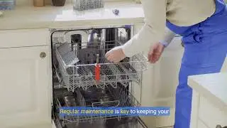 Broken Glass in Dishwasher Filters - How It Happens and Why You Need to Act Fast