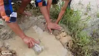 8 Bamboo Deep Hole Eel Trap   Creative Boys Make Deep Hole Trap To Catch A Lot Eels & Fish