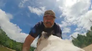 GoPro Hero 9 Dog Harness Test - Neuse River!
