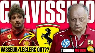 🚨TIFOSI IN RIVOLTA DOPO LO SCANDALO&nbsp;VASSEUR, INTERVENGONO LECLERC ED HAMILTON