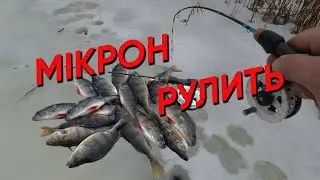 НАЛОВИВ ЗАЛІКОВИХ ОКУНІВ на БАЛАЛАНСИР МІКРОН !!! МІКРОН РУЛИТЬ !!!🎣🎣🎣