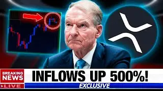 INSANE XRP INFLOWS!! 500% SURGE?! What's Happening?! (OMG)