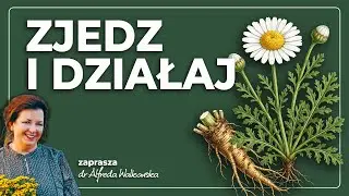 #11 - Hildegardowi mocarze żywieniowi - Bertram | dr Alfreda Walkowska | HildegardaPL
