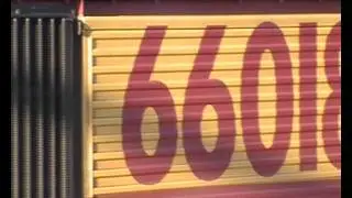 66018
