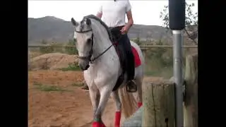 Video Cordobes