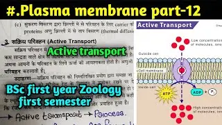 Active Transport in Hindi || Plasma membrane Part-12 || BSc first year Zoology first semester