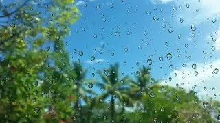 Rain Sounds for Deep Sleep 🌧️ | Calm Night Rain for Sleeping (2 Hours)