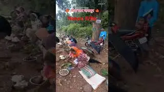 India's Tribal market