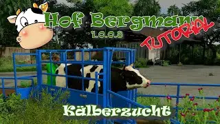 [LS19]👨&zwj;🌾 Hof Bergmann 1.0.0.8. BETA2 | Alles Rund um K&uuml;he & K&auml;lber