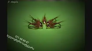 fly fishing in georgia