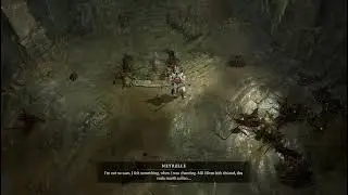 Diablo4: #diablo4 #gamingtopic #follow #sub #ad #sponsor Thanks for watching!! (Part 24/32)
