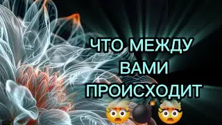 ЧТО МЕЖДУ ВАМИ? 🤯💣🤯 ДА ЭТО МАГИЯ 🤷
