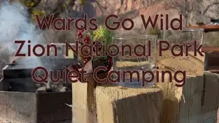A Quiet Christmas Camping in Zion National Park | Van Life with Gus our Irish wolfhound 