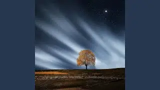Serenity Calls