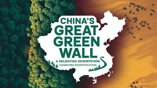 China's Great Green Wall: Milestone in Combating Desertification #china#greatgreenwall  #Desert