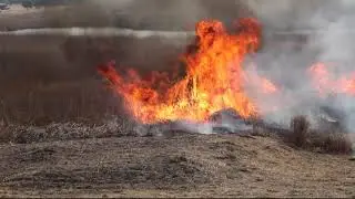 2019渡良瀬遊水地ヨシ焼き