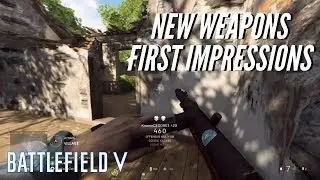 First Impressions of Battlefield 5's New Pacific Guns