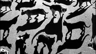 Print inspiration from shadows @gauravmandaldesign