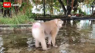Nui and mom are super cute after heavy rain | Nui Family
